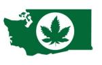 washington-marijana logo