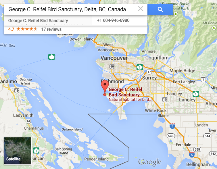 George C. Reifel Bird Sanctuary